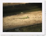 Dierentuin Burgers  Zoo 017 * 3648 x 2736 * (5.33MB)